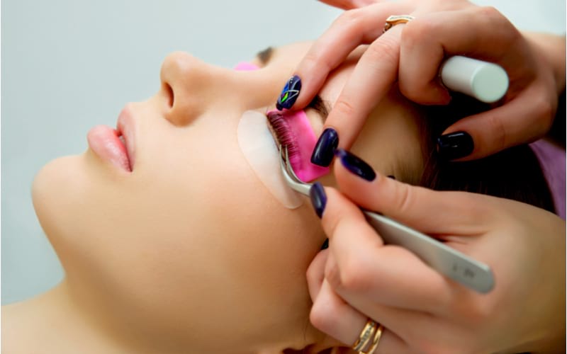 Staining, curling, extension for eyelashes treatment | eyelash curler